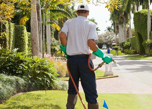 About New Douglas IL Pest Control